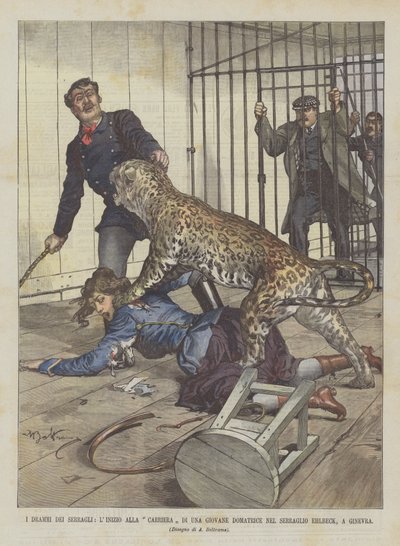 Die Dramen der Menagerien, der Beginn der Karriere einer jungen Dompteuse im Ehlbeck-Zirkus in Genf von Achille Beltrame