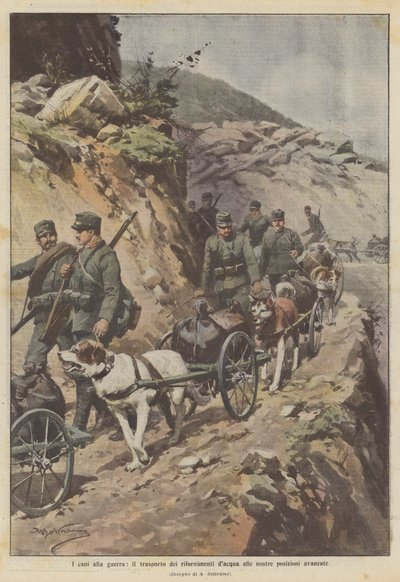Die Hunde im Krieg, der Transport von Wasser zu unseren vorgeschobenen Stellungen von Achille Beltrame