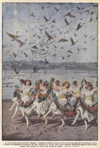 Der Tanz der Wildenten von Achille Beltrame