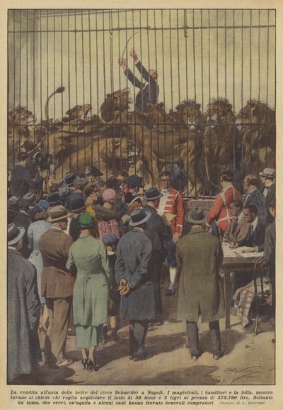 Die Versteigerung der Tiere des Zirkus Schneider in Neapel von Achille Beltrame