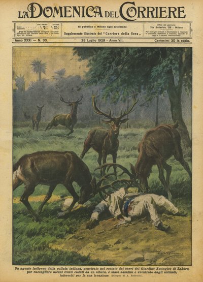 Ein einheimischer Polizist im Hirschgehege des Zoologischen Gartens von Achille Beltrame