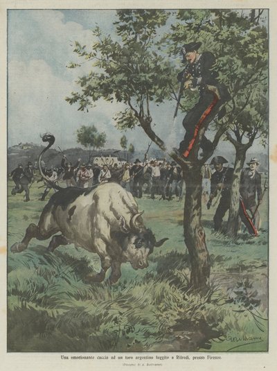 Eine aufregende Jagd auf einen argentinischen Stier, der in Rifredi bei Florenz entkommen ist von Achille Beltrame