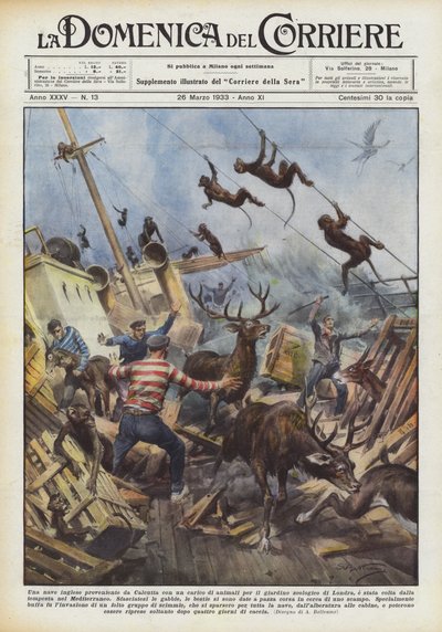 Ein englisches Schiff aus Kalkutta mit einer Ladung Tiere für den Zoo von Achille Beltrame