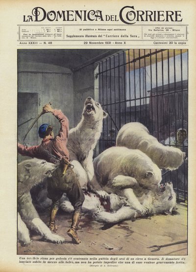 Eine schreckliche Eifersuchtsrivalität in einem Bärenkäfig eines Zirkus in Genua von Achille Beltrame