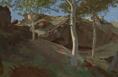 Birken auf einem felsigen Abhang: Fontainebleau von Achille Etna Michallon
