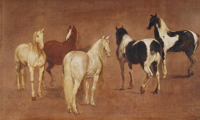 Studie von fünf Pferden von Adam Frans van der Meulen