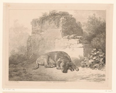 Schlafender Hund vor einer Mauer von Adam von Bartsch