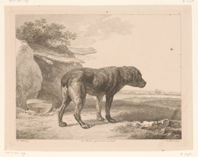 Stehender Hund in einer Landschaft von Adam von Bartsch