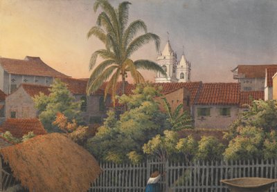 Von einem hinteren Fenster in Panama, 10. März 1850 von Admiral Sir Edward Gennys Fanshawe