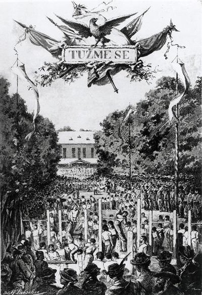 Tuzmese (die Anstrengung), erstes Treffen der Sokols in Prag von Adolf (after) Liebscher