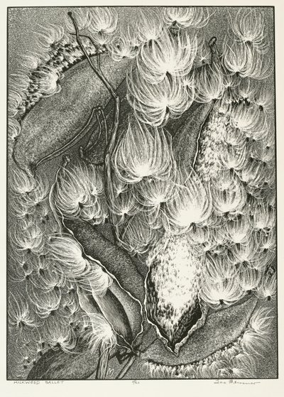 Seidenpflanzen-Ballett von Adolf Ernst Meissner