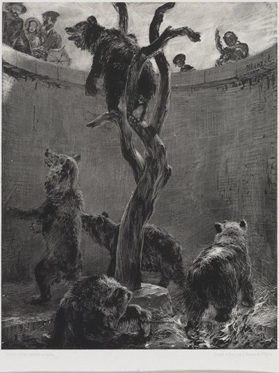 Der Bärenzwinger im Zoologischen Garten von Adolph Menzel