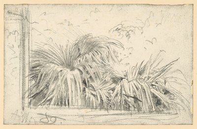 Palmzweig im Fensterrahmen von Adolph Menzel