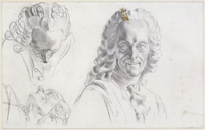 Studie zu Voltaire von Adolph Menzel