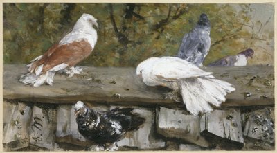 Tauben auf einem Holzdach. Aus dem „Kinderalbum“ von Adolph Menzel