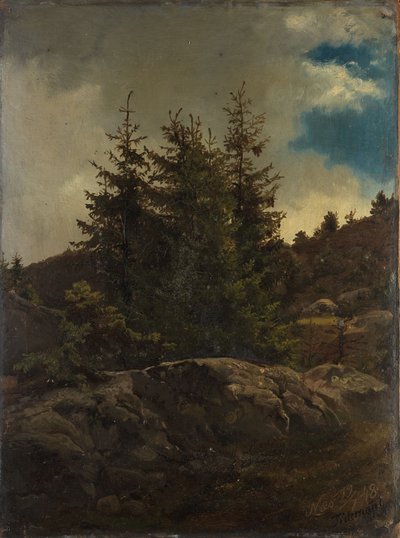 Landschaft bei Nes im Hallingdal von Adolph Tidemand