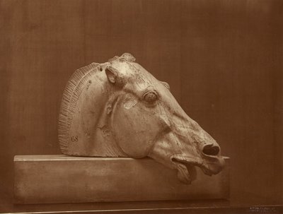 (Kopf eines Pferdes vom Giebel des Parthenon, British Museum) von Adolphe Braun