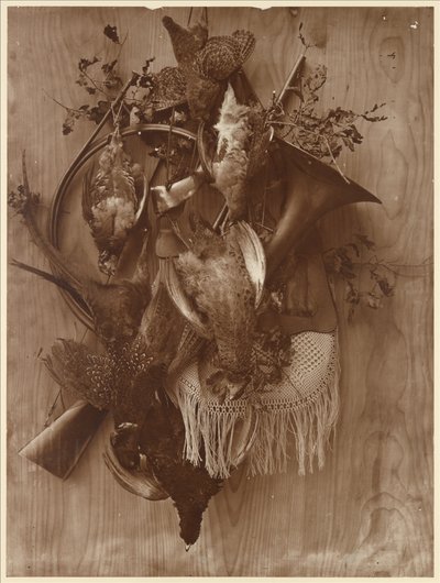 Fasan und Moorhuhn von Adolphe Braun