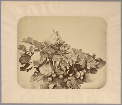 Stillleben mit Quitten und Beeren von Adolphe Braun