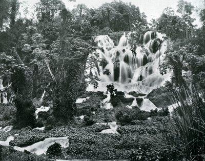 Roaring River Falls, Jamaika, um 1905 von Adolphe Duperly and Son