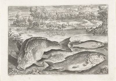 Drei Karpfen am Ufer von Adriaen Collaert