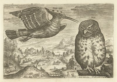 Einige Vögel in einer Landschaft von Adriaen Collaert