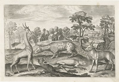 Exotische Tiere von Adriaen Collaert
