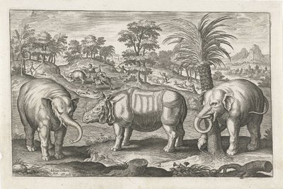 Elefanten und Nashorn von Adriaen Collaert