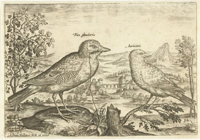 Zwei Vögel in einer Landschaft von Adriaen Collaert