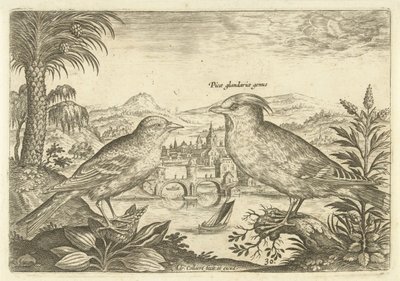 Zwei Vögel in einer Landschaft von Adriaen Collaert
