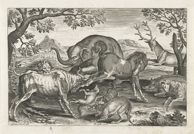 Kämpfende Tiere
Vierbeinige Tiere (Serientitel)
Animalivm Qvaddrvpedvm (Serientitel) von Adriaen Collaert
