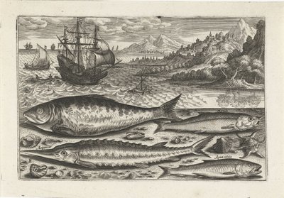 Vier Fische am Strand von Adriaen Collaert