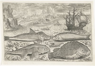 Vier Fische am Strand von Adriaen Collaert