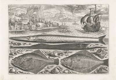 Vier Fische am Strand von Adriaen Collaert