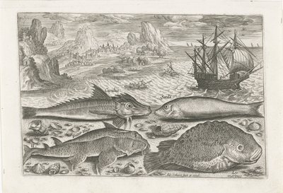 Vier Fische am Strand von Adriaen Collaert