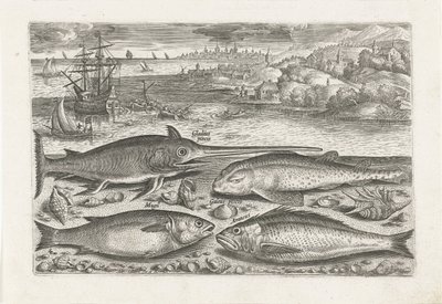 Vier Fische am Strand von Adriaen Collaert