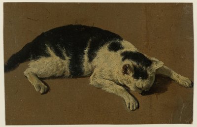Katze liegend mit dem Kopf zwischen den Vorderpfoten von Adriaen van de Velde (attributed to)