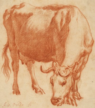 Eine Kuh beim Grasen, ca. 1663 von Adriaen van de Velde