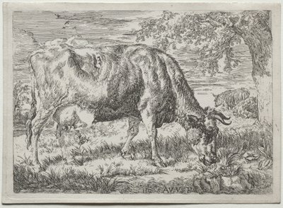 Kuh und zwei Schafe am Fuße eines Baumes von Adriaen van de Velde