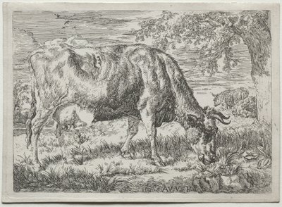 Kuh und zwei Schafe am Fuße eines Baumes, 1670 von Adriaen van de Velde
