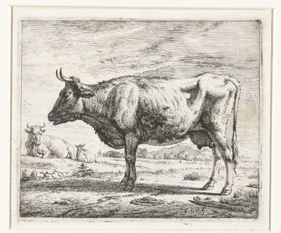 Zwei Kühe und ein Schaf (Verschiedene Tiere) von Adriaen van de Velde