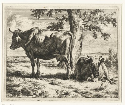 Zwei Kühe unter einem Baum von Adriaen van de Velde