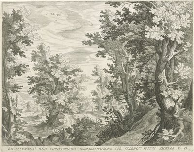 Waldlandschaft von Egidius  Sadeler (II)
