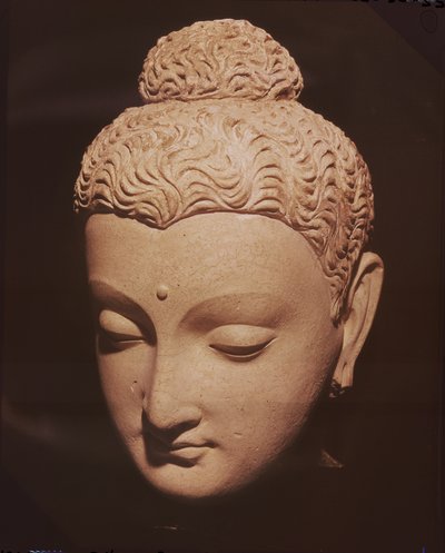 Kopf von Buddha, griechisch-buddhistischer Stil, aus Hadda von Afghan School