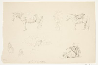Studienblatt mit Pferden von Agnes Lunn