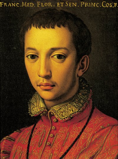 Porträt von Francesco I. de Medici (Florenz) von Agnolo Bronzino