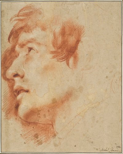 Kopf eines jungen Mannes, nach oben blickend von Agostino Carracci