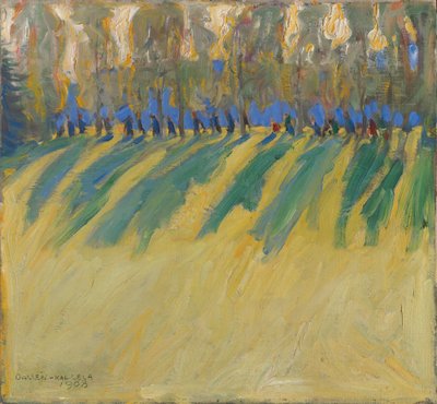 Licht und Schatten von Akseli Gallen-Kallela