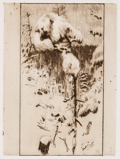 Verschneite Kiefer von Akseli Gallen-Kallela