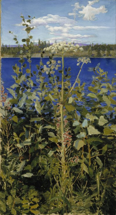 Wilde Engelwurz von Akseli Gallen-Kallela